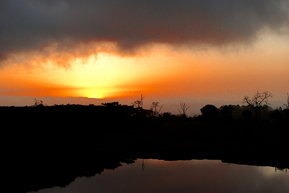 Sunraise