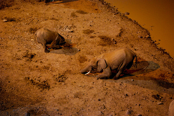 Digging for salt at night