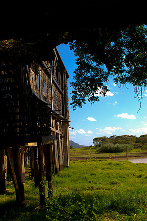 Treetops Lodge
