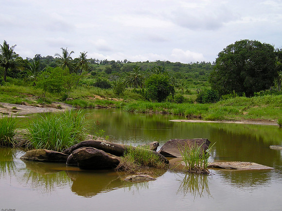 Heavy rains in December meant many streams were overflowing