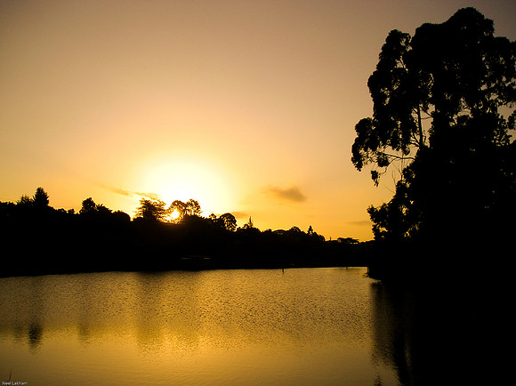 Sunset in kenyan game park