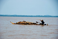 Papyrus boat transporting wood across lake Tana