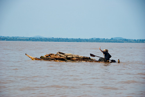 Papyrus boat transporting wood across lake Tana